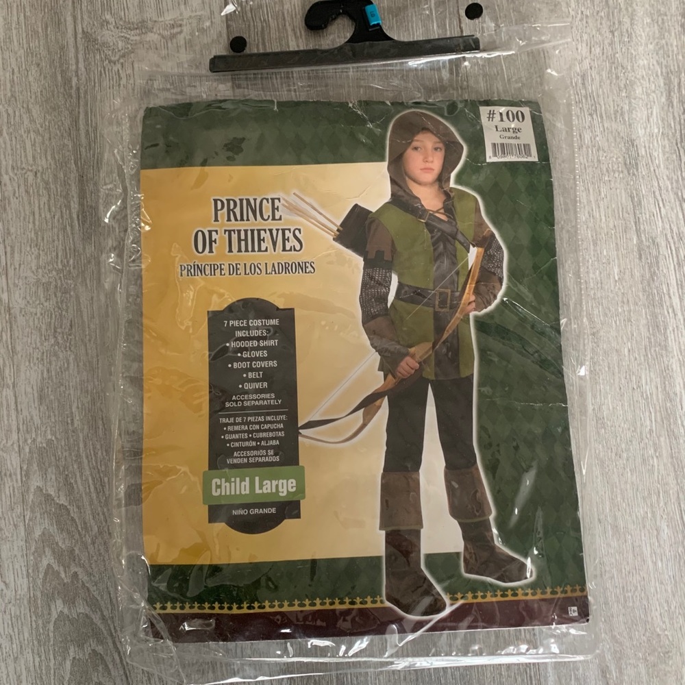 Prince of Thieves Kids Boys Halloween Costume